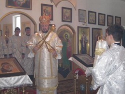 9 января епископ Добропольский Спиридон совершил литургию в Стефановском монастыре с. Степановка